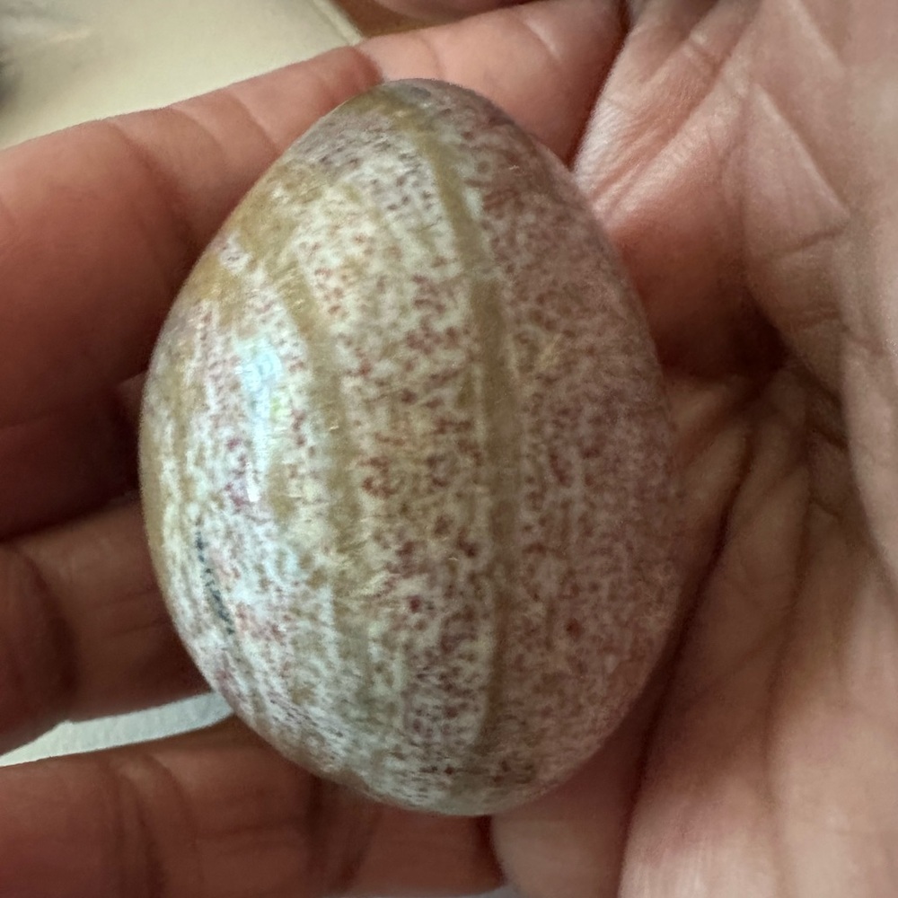 Ocean Jasper Palmstone